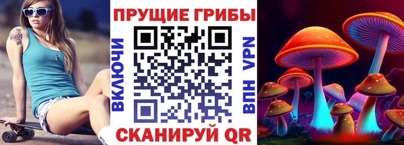 Псилоцибиновые грибы Cubensis  Артёмовский 